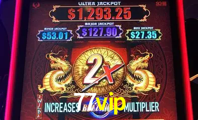 A Experiência Imersiva dos Cassinos Ao Vivo no 77vip